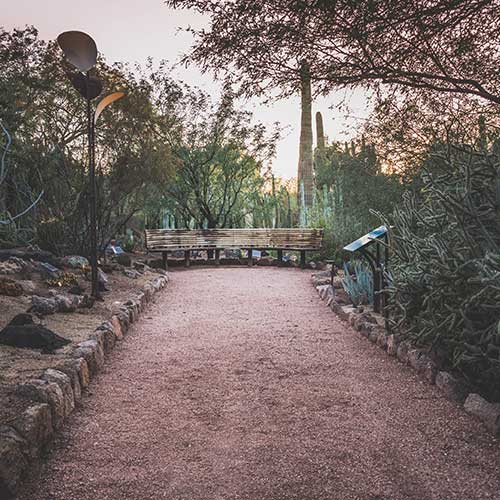 path leading to a wooden bench in the Desert Botanical Garden
