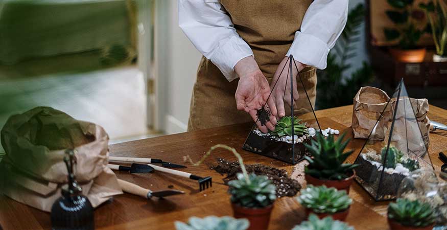 woman creating plant terrariums with succulents on a wooden table