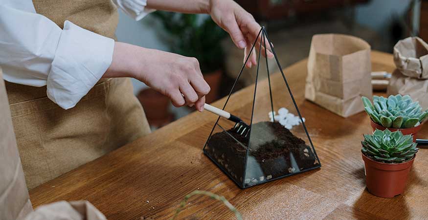 woman adding soil to a plant terrarium